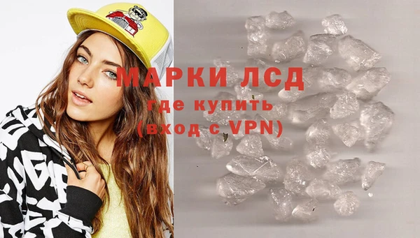 гидра Гусев