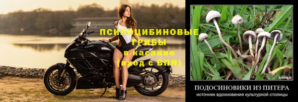 мяу мяу кристалл Гусиноозёрск