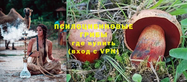 молекула духа Беломорск