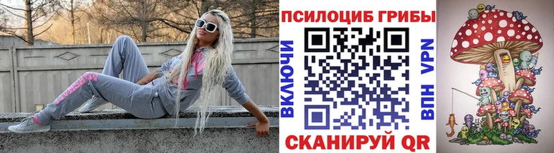 Галлюциногенные грибы Magic Shrooms  где найти наркотики  Первомайск 