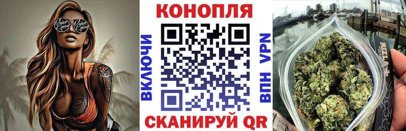 Конопля сатива Первомайск